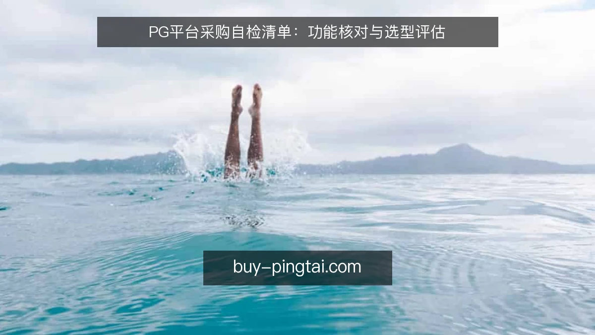 PG平台采购自检清单：功能核对与选型评估