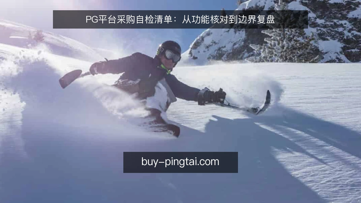 PG平台采购自检清单：从功能核对到边界复盘