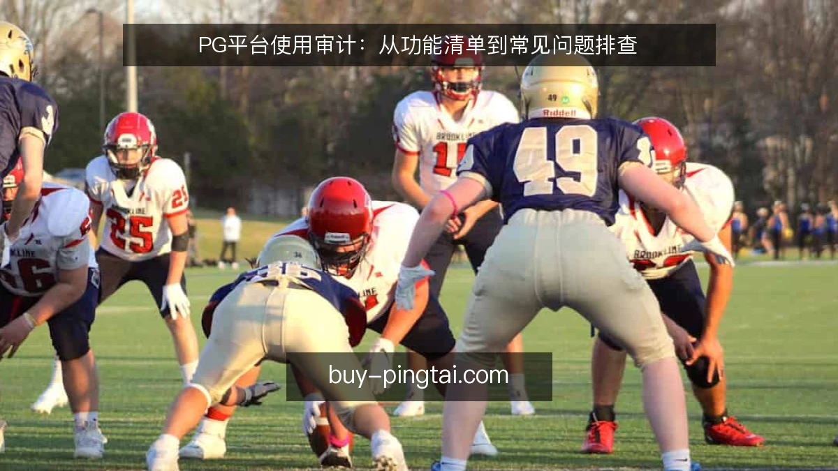 PG平台使用审计:从功能清单到常见问题排查