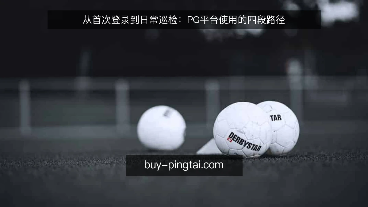 从首次登录到日常巡检：PG平台使用的四段路径