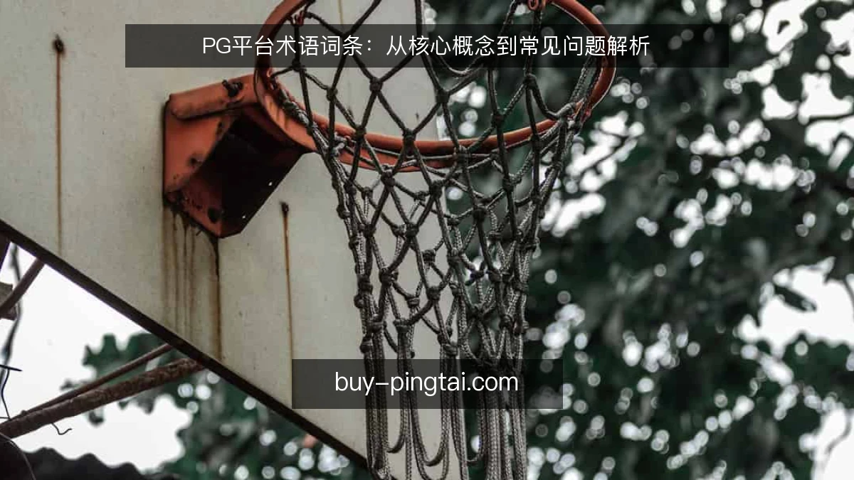 PG平台术语词条：从核心概念到常见问题解析