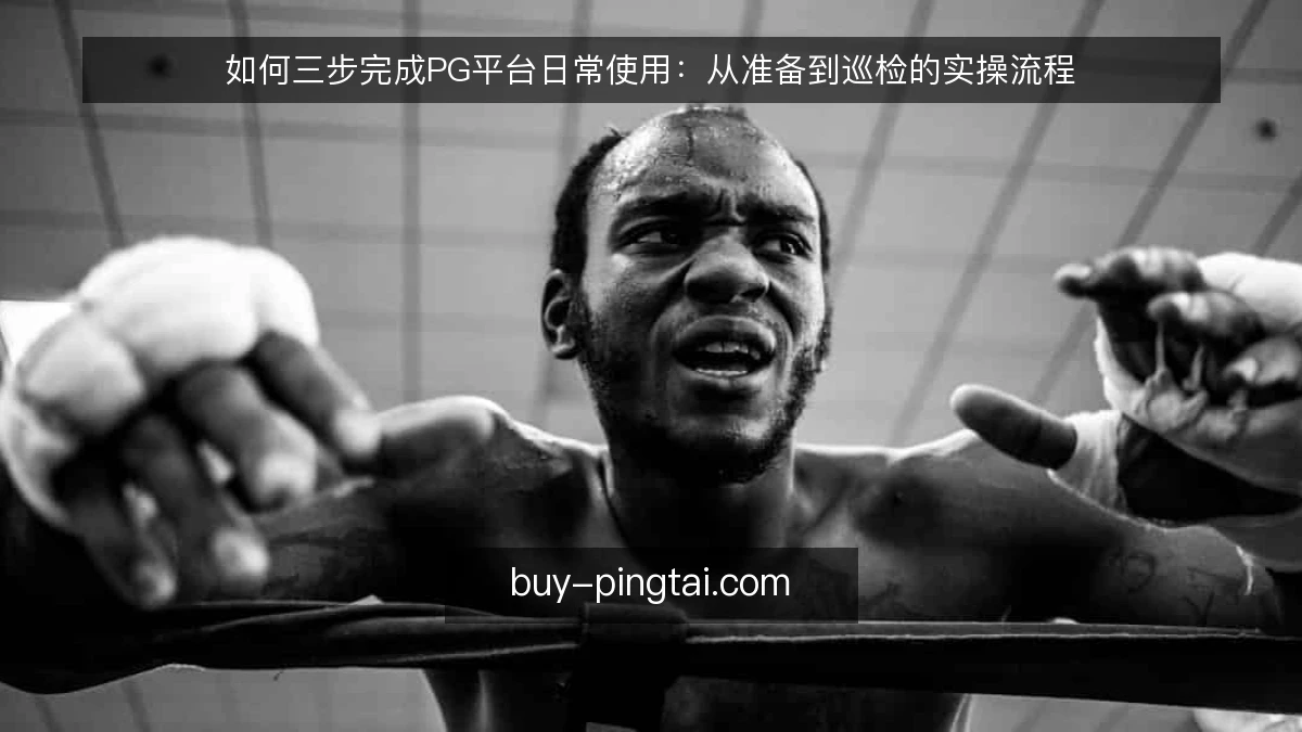 如何三步完成PG平台日常使用：从准备到巡检的实操流程