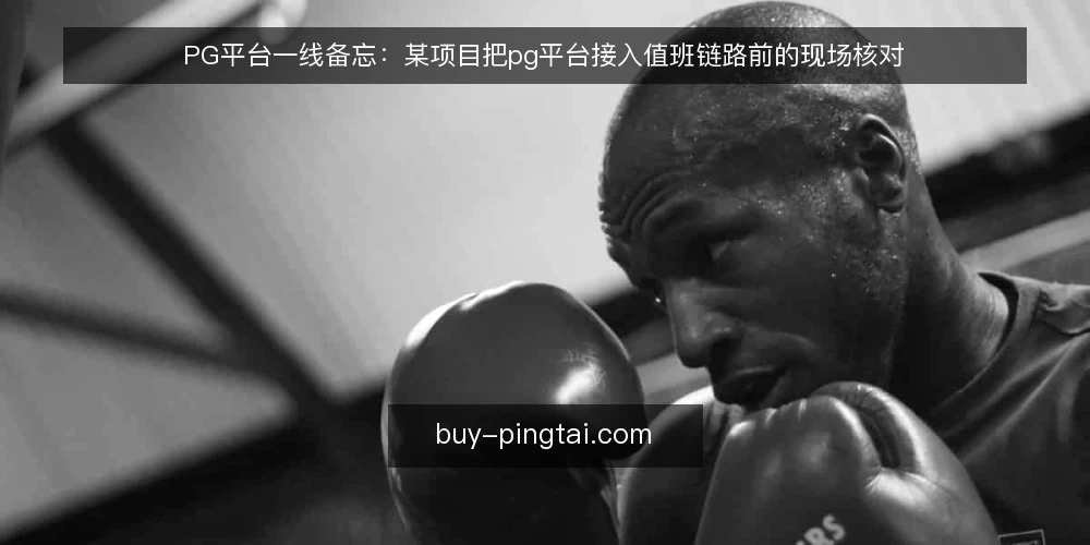 PG平台一线备忘：某项目把pg平台接入值班链路前的现场核对 — 现场先看哪些信号 配图