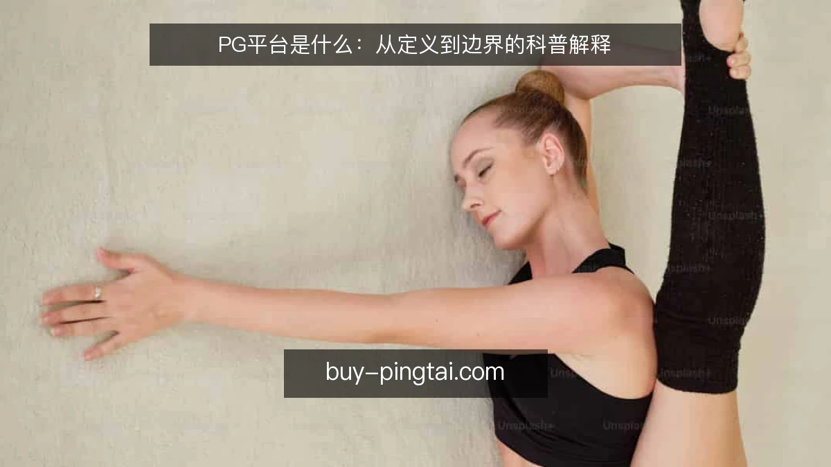 PG平台是什么：从定义到边界的科普解释