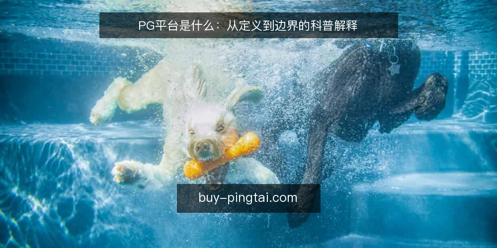 PG平台是什么：从定义到边界的科普解释 — PG平台是什么：先厘清定义与边界 配图